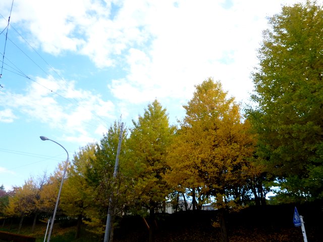 f0137694_1043556.jpg