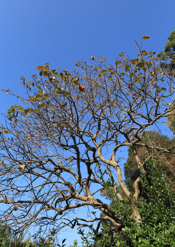 b0275998_1232138.jpg