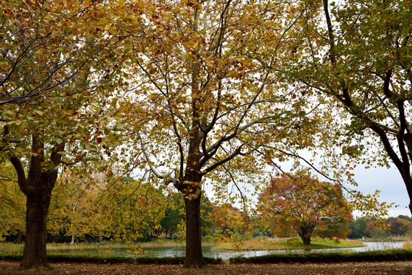 f0233999_2252747.jpg
