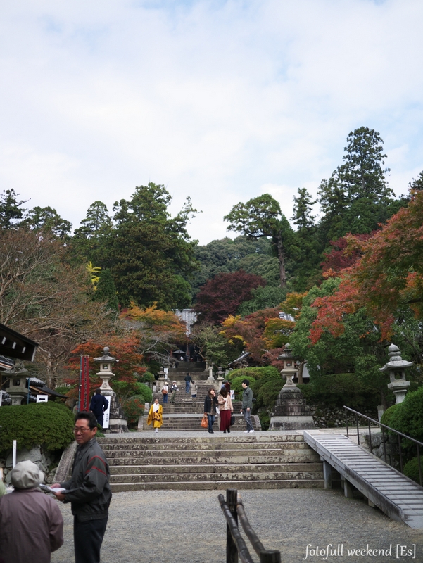 b0138101_17495481.jpg