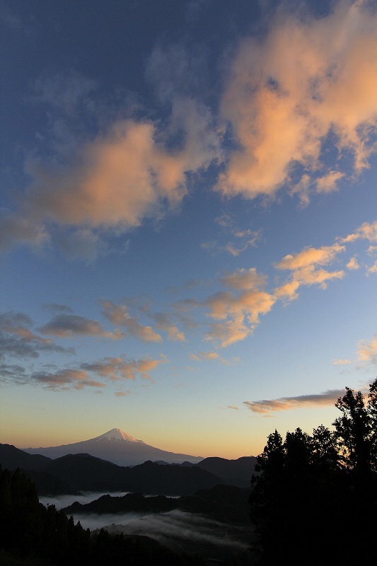 a0188405_16585147.jpg