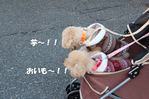 b0197418_1336948.jpg