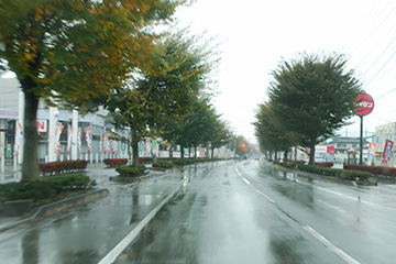 b0259218_012561.jpg