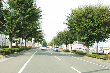 b0259218_013448.jpg
