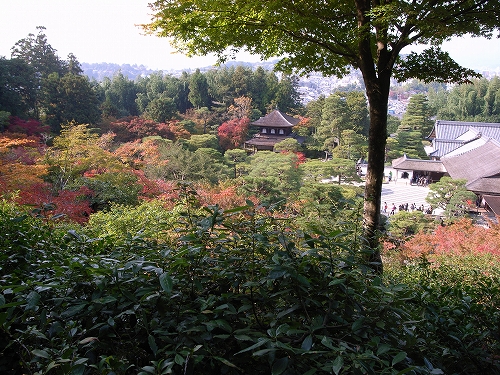 b0225620_22262299.jpg