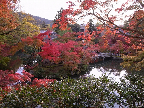 b0225620_222753100.jpg