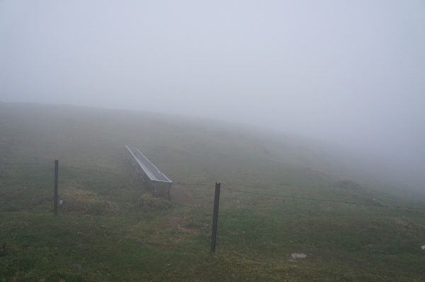 b0279623_11434813.jpg