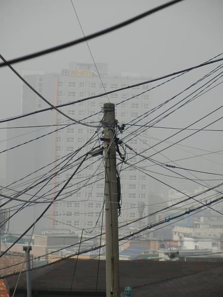 b0129725_21590885.jpg