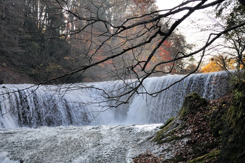 a0248728_2332846.jpg