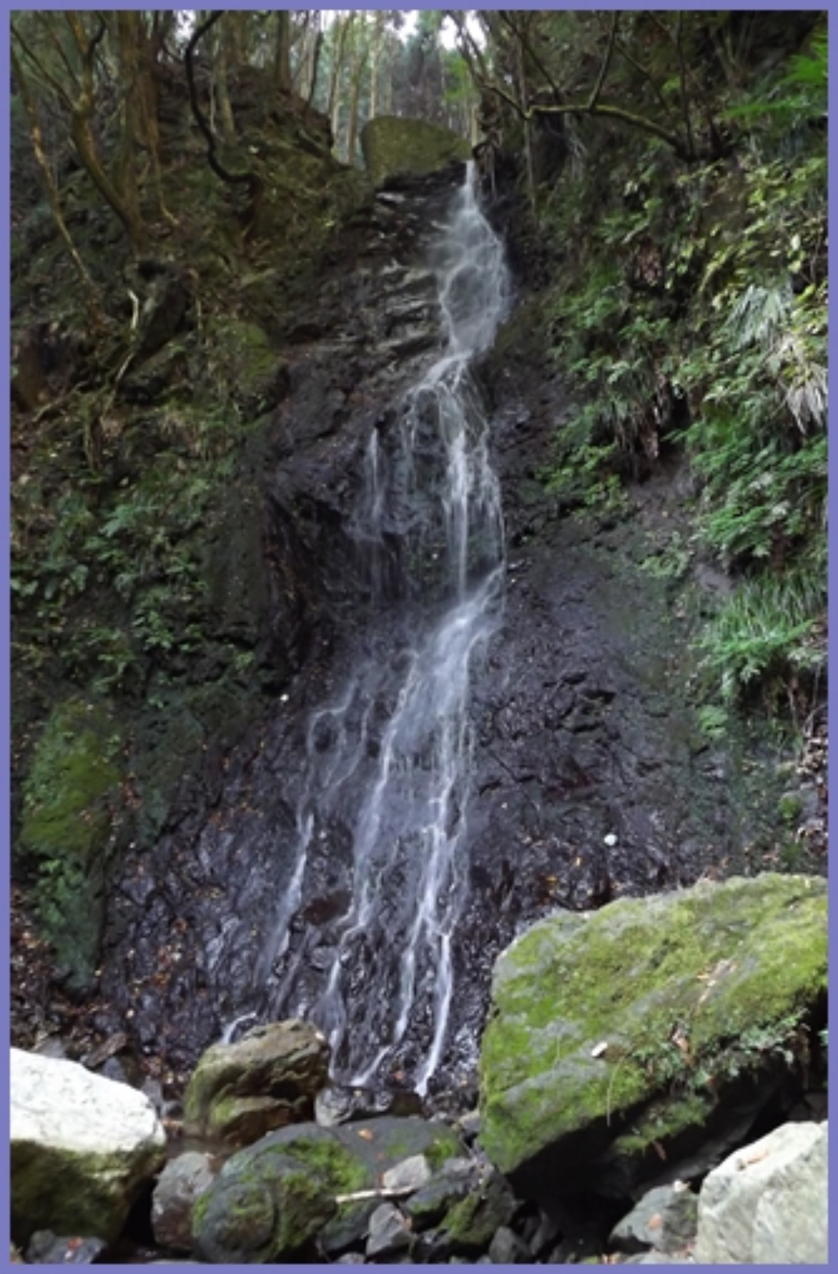 e0033229_21355265.jpg