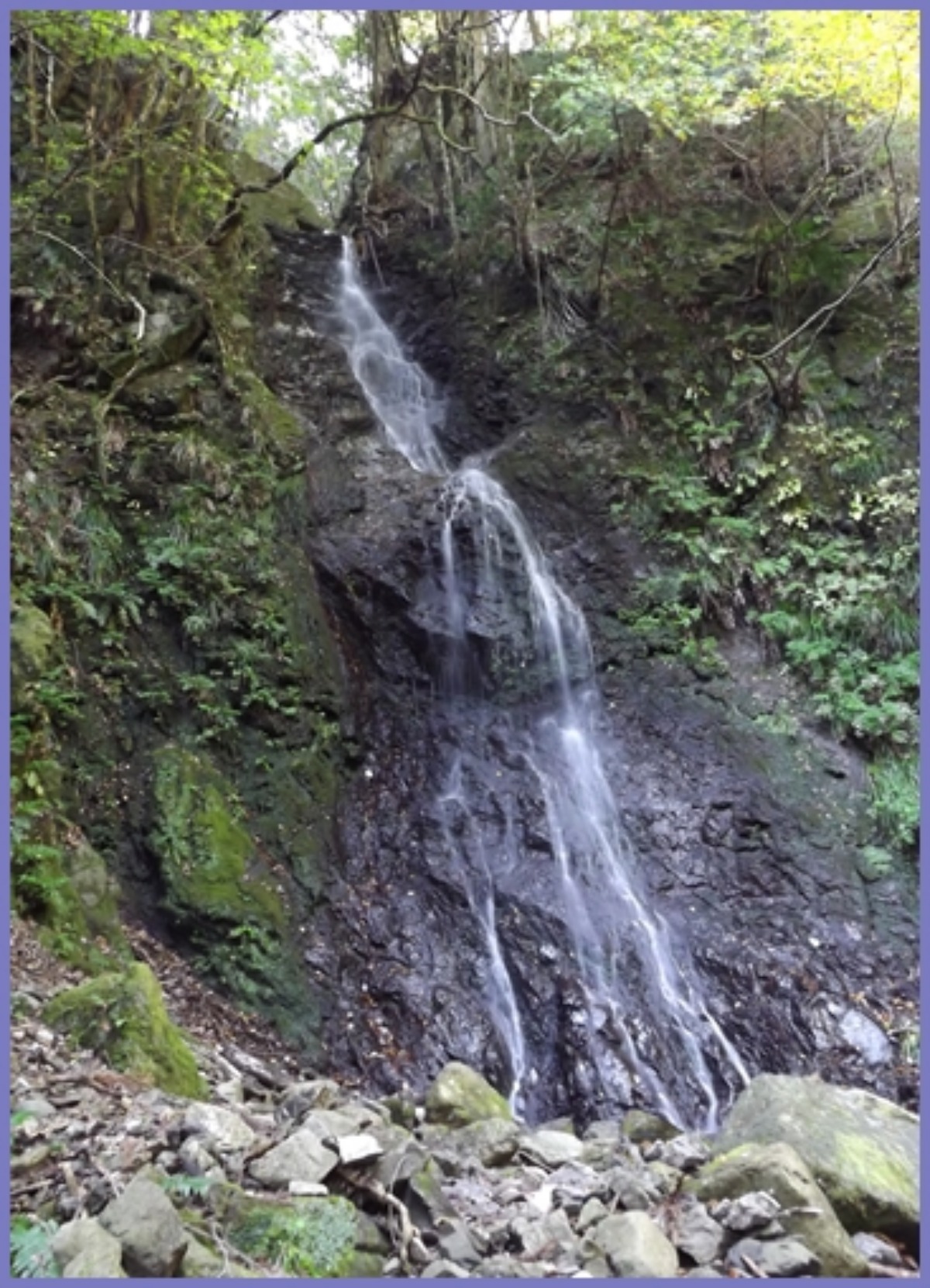 e0033229_21365336.jpg