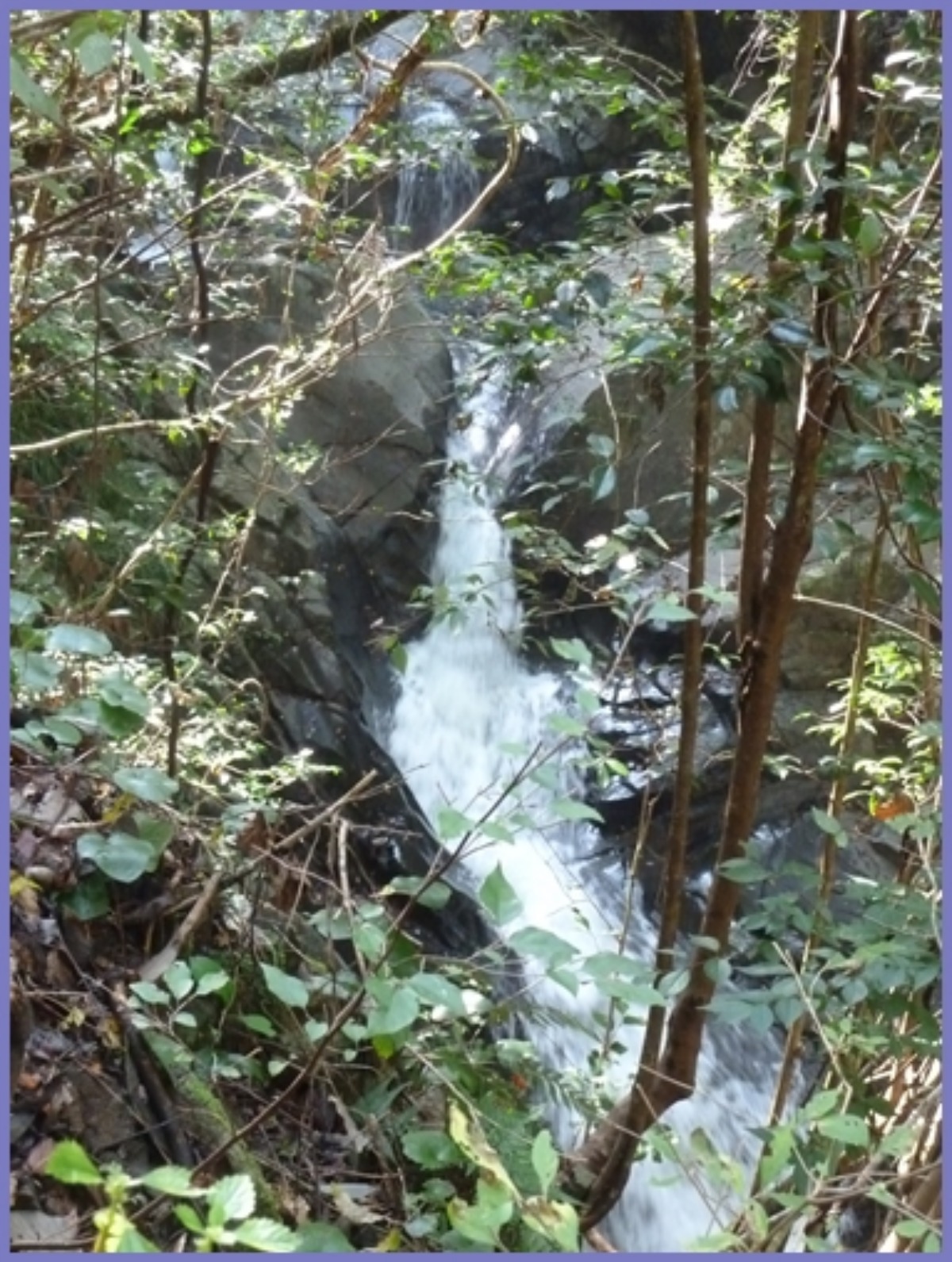 e0033229_22057.jpg