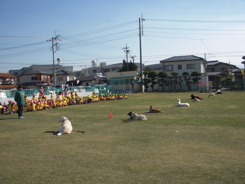 c0114833_21263054.jpg