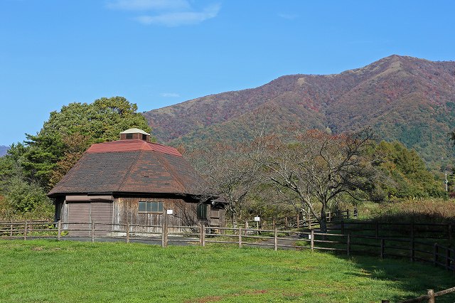 a0242438_18343445.jpg