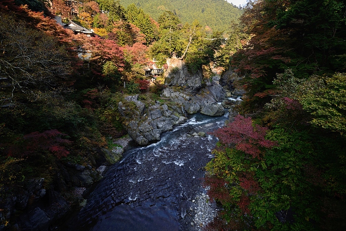 c0221838_22104198.jpg