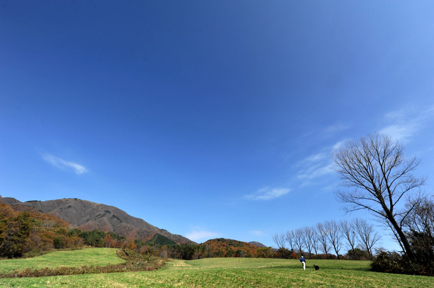 b0075541_19221069.jpg