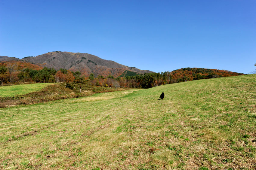 b0075541_19482059.jpg