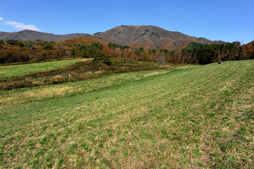 b0075541_1949332.jpg