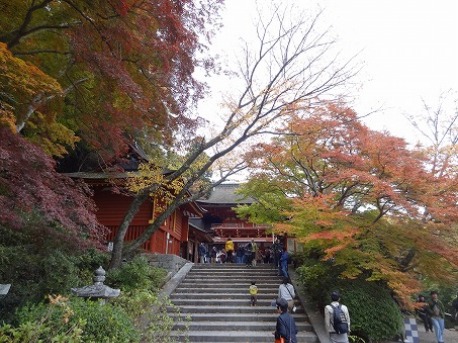 b0299042_20253115.jpg