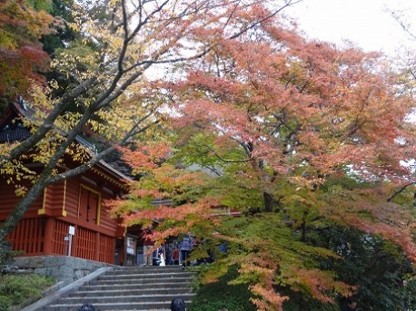b0299042_20254017.jpg