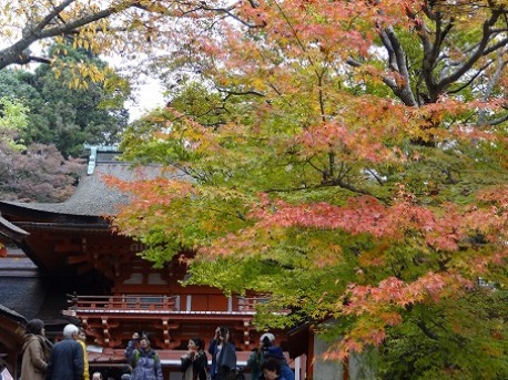 b0299042_20254729.jpg