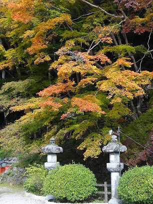 b0299042_21295630.jpg