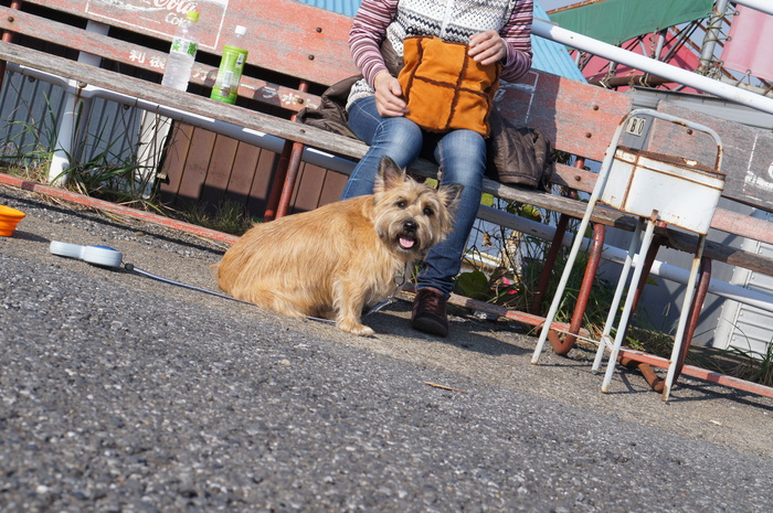 a0267860_16525989.jpg