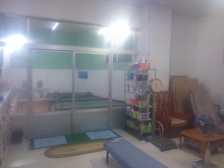 d0318660_23322395.jpg