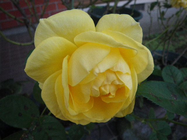 f0042665_222888.jpg
