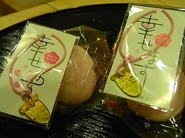 a0146070_68299.jpg