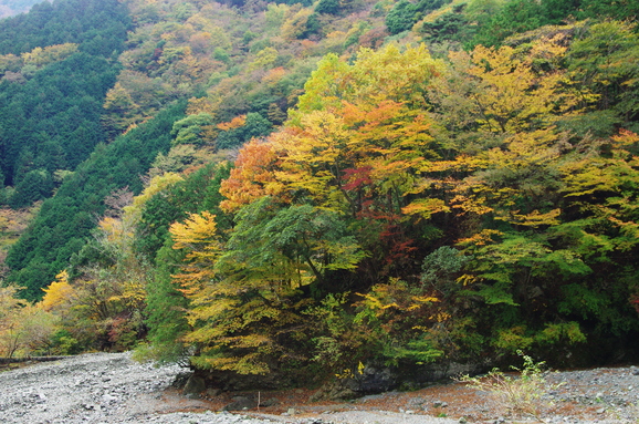 d0228072_1520121.jpg