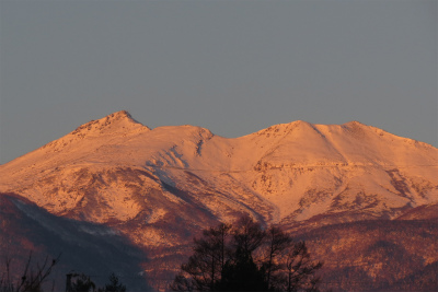 f0182173_985744.jpg