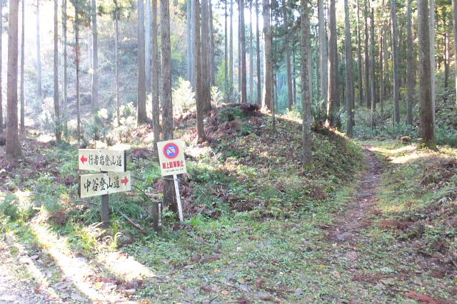 c0022275_14461936.jpg