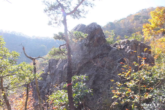 c0022275_14502346.jpg