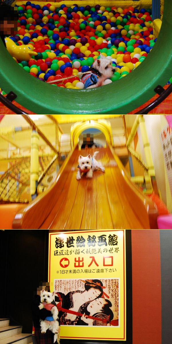 e0110888_12314066.jpg