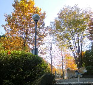 e0023790_200473.jpg