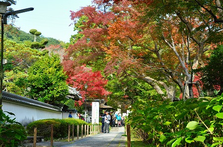 a0152391_14345920.jpg