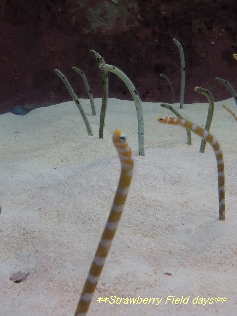 c0087094_14195029.jpg