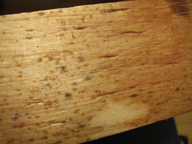 d0040395_029271.jpg