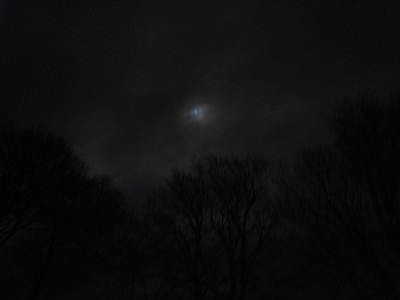 b0110999_6125695.jpg