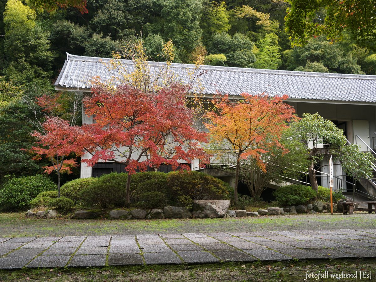 b0138101_2050149.jpg