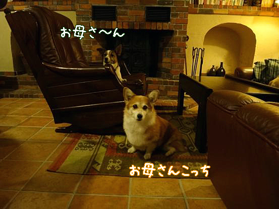 f0064906_16425086.jpg