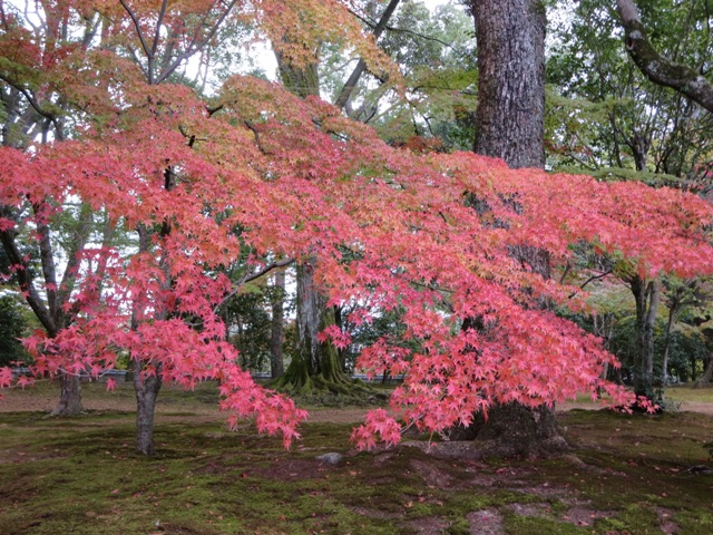 e0146907_20111045.jpg