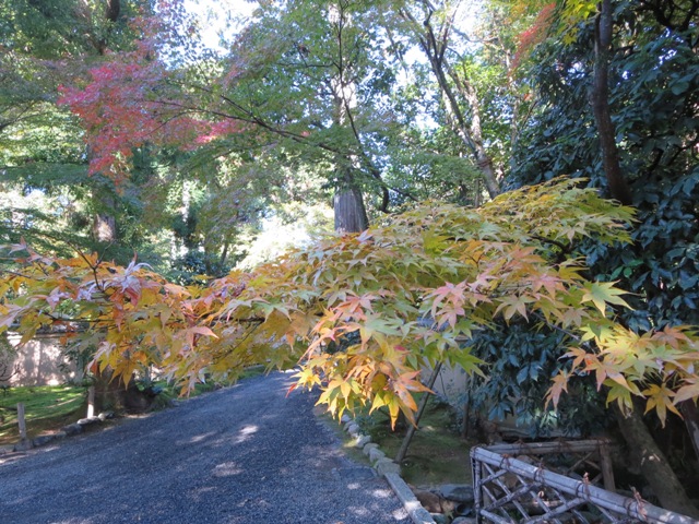 e0146907_2012050.jpg