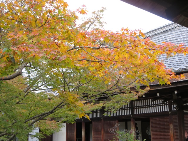 e0146907_20121624.jpg