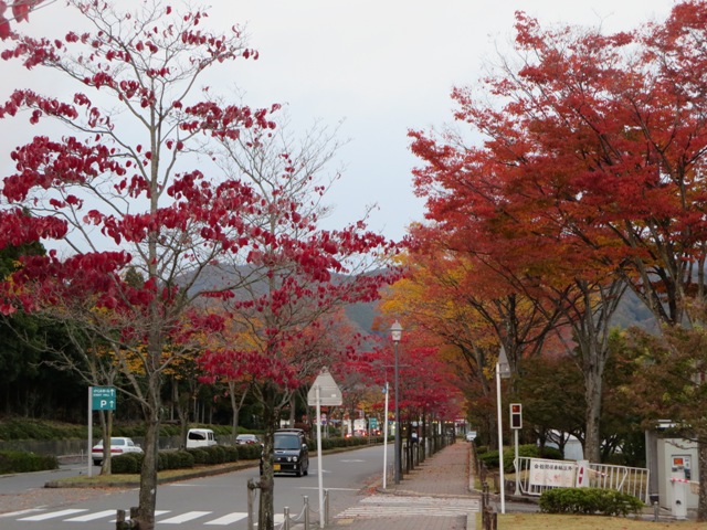 e0146907_20181870.jpg