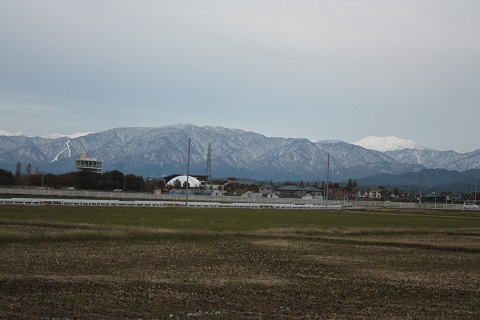 d0001008_1095880.jpg