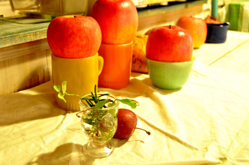 f0188408_12543714.jpg