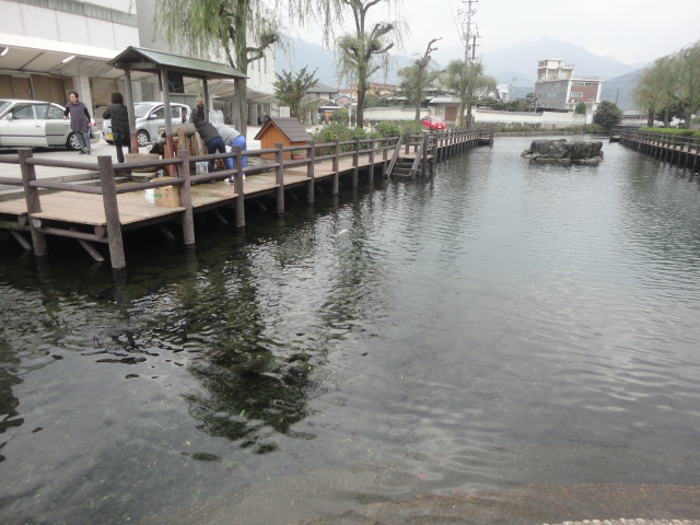 f0231709_15451298.jpg