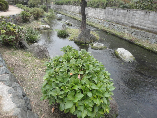 f0231709_15462320.jpg